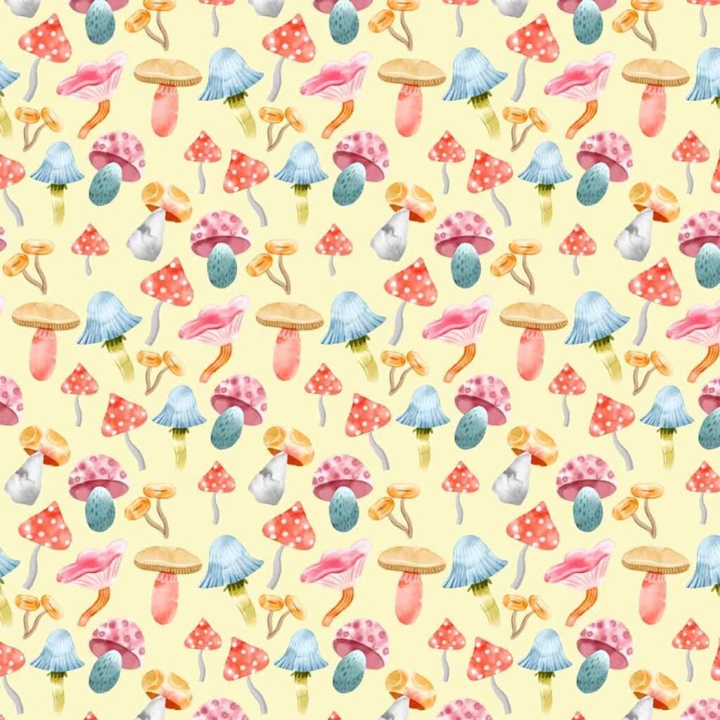 9050-v153-2-1024x1024