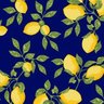 tecidos-tricoline-tecido-tricoline-azul-marinho-limao-siciliano--p-1601296898413