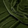 tecidos-veludo-tecido-veludo-plush-verde--p-1706644357893