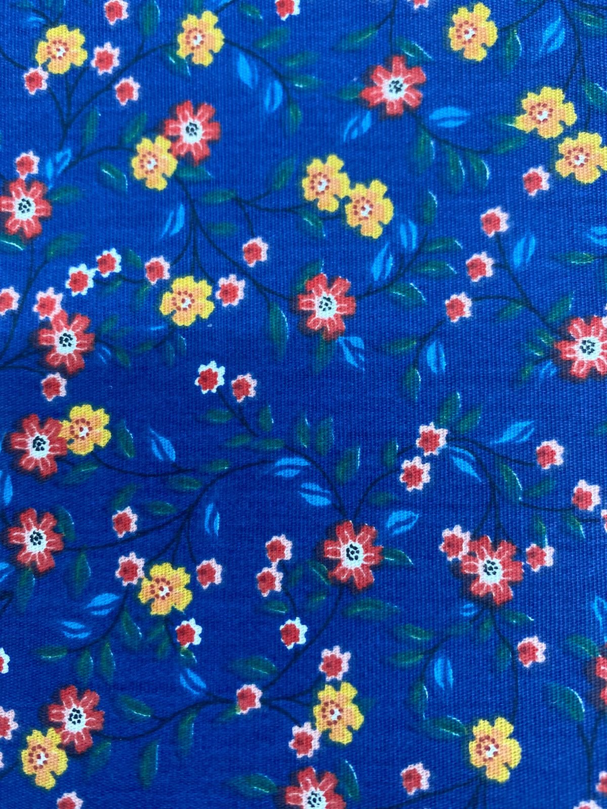 whatsapp image 2025 01 27 at 17 27 35