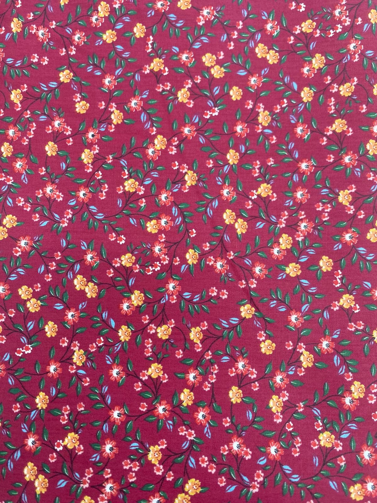 whatsapp image 2025 01 27 at 17 31 48