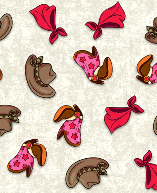 tecido tricoline colecao boiadeira