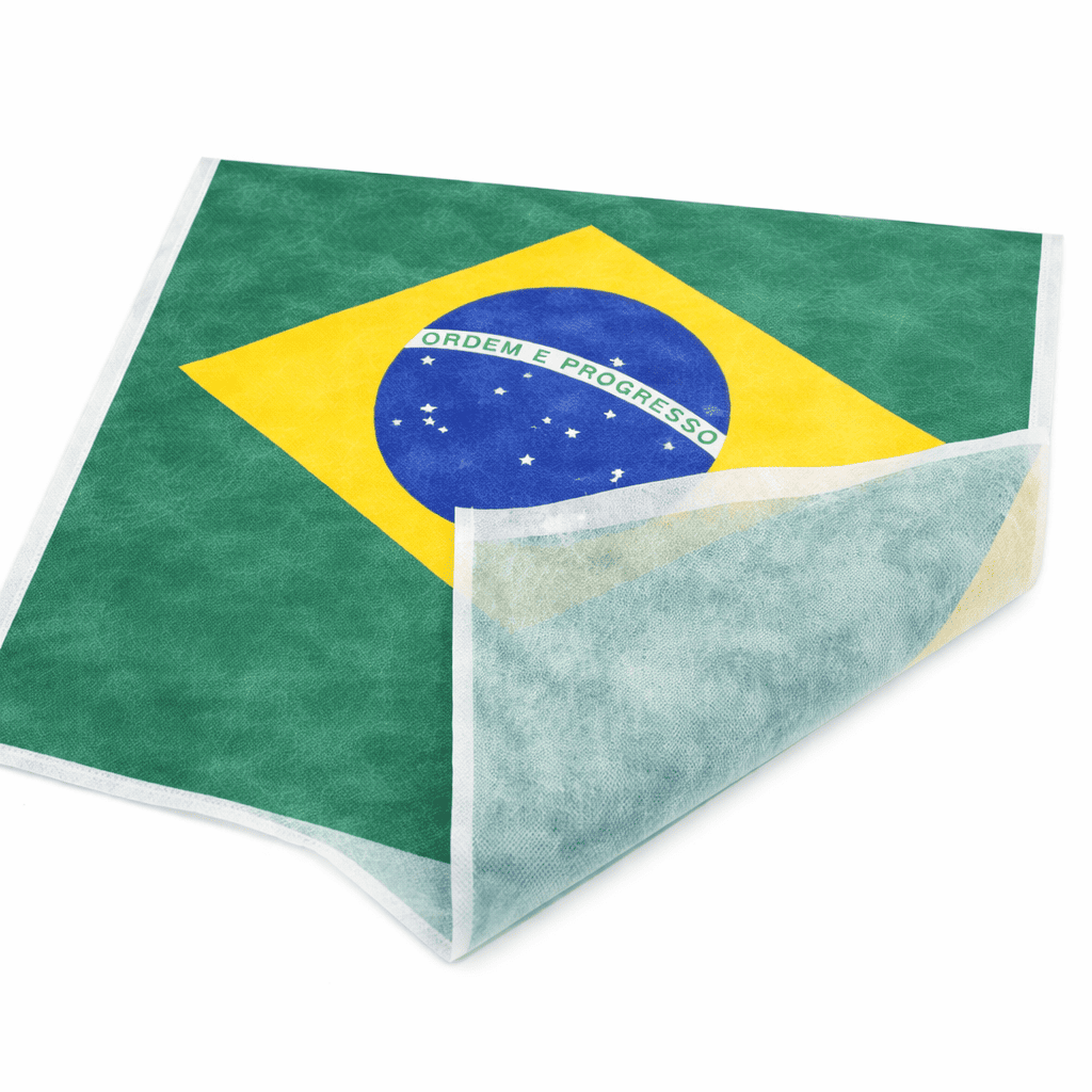 Bandeira do Brasil em detalhes 1